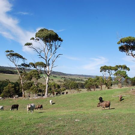 Back Valley Farmstay Bed And Breakfast Victor Harbor Zewnętrze zdjęcie