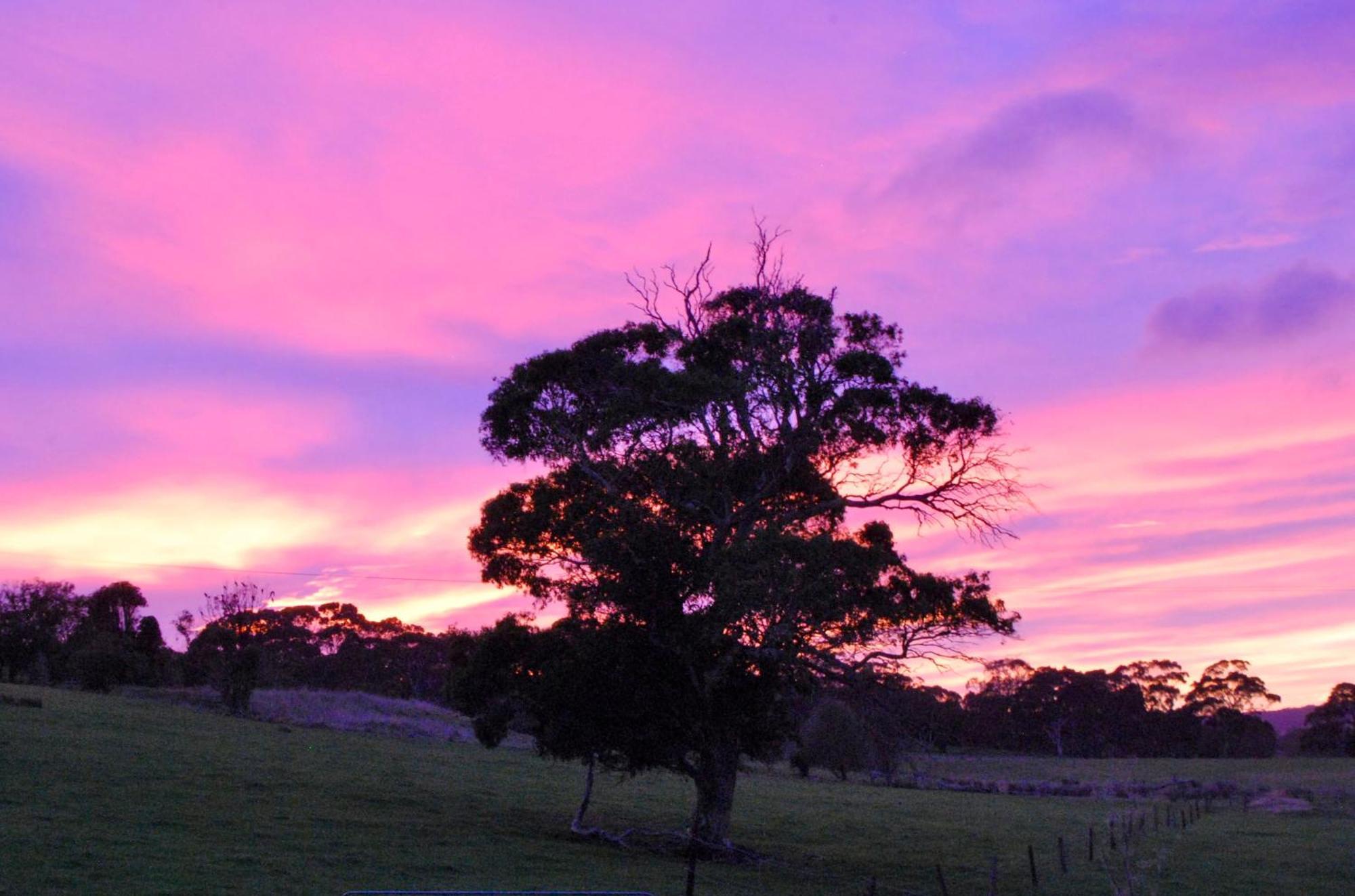 Back Valley Farmstay Bed And Breakfast Victor Harbor Zewnętrze zdjęcie