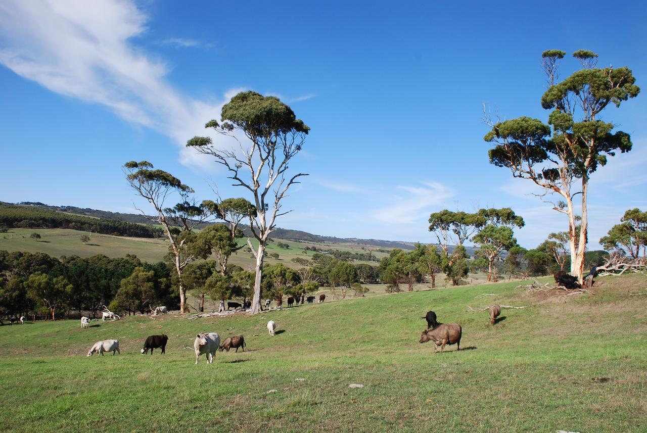 Back Valley Farmstay Bed And Breakfast Victor Harbor Zewnętrze zdjęcie